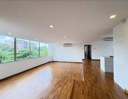 Nassim Regency (D10), Condominium #574072851